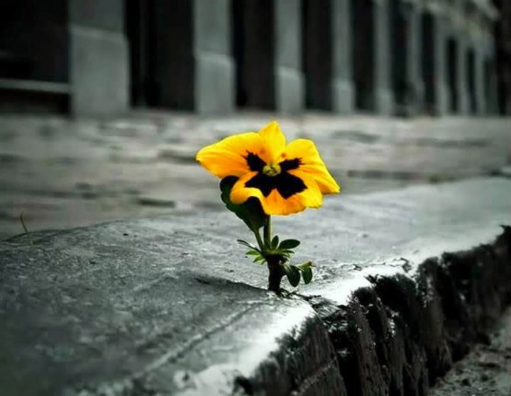 Empreendedorismo. Existe uma fórmula para chegar&nbsp;lá?