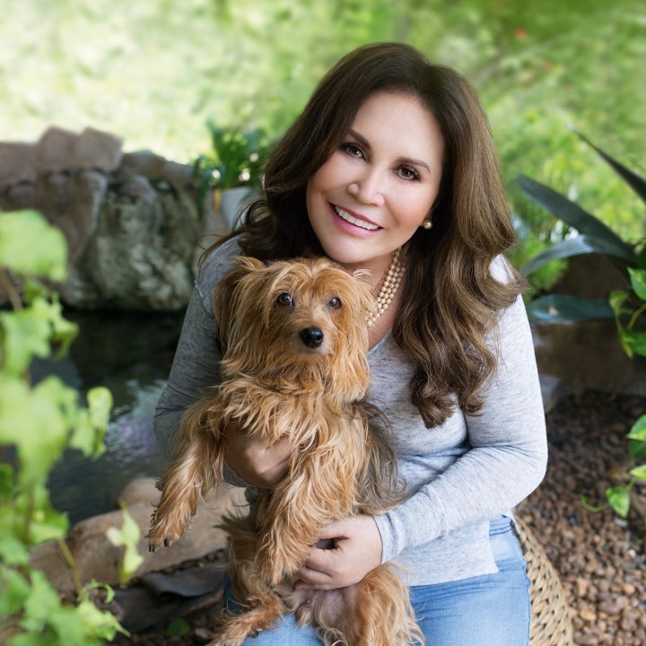 Bastidores de uma vida empreendedora.  Capítulo 2: Um leão por&nbsp;dia