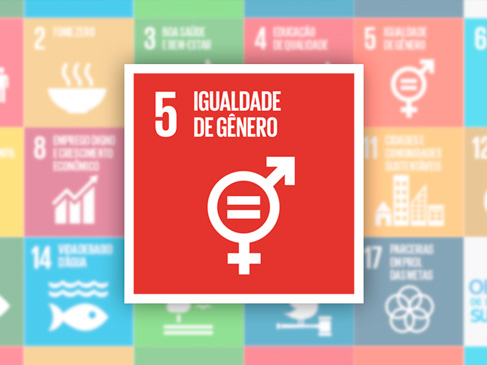 DESIGUALDADES DE GÊNERO NO MERCADO DE&nbsp;TRABALHO